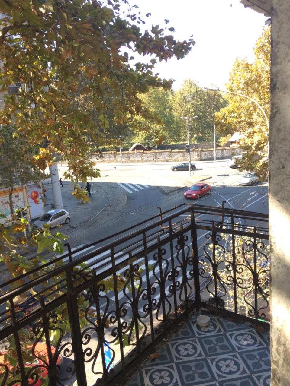 Cricket Park Hostel Belgrad Dış mekan fotoğraf
