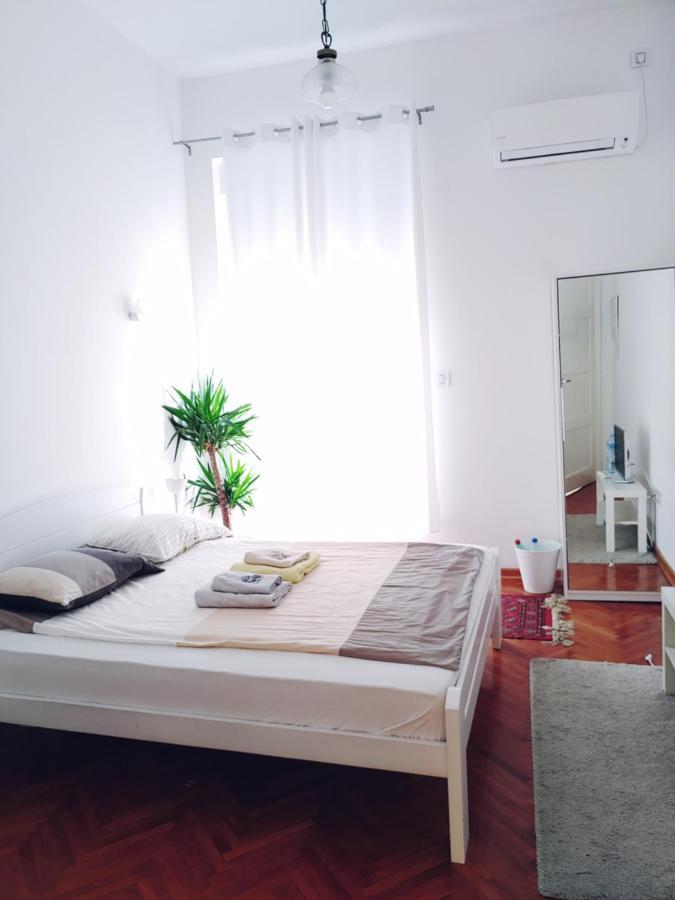 Cricket Park Hostel Belgrad Dış mekan fotoğraf